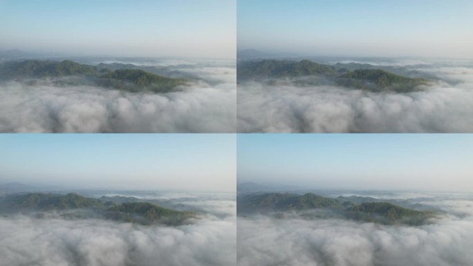 云雾里的茶山