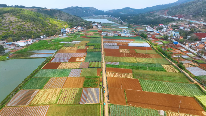 云南建水小寨农场菜田