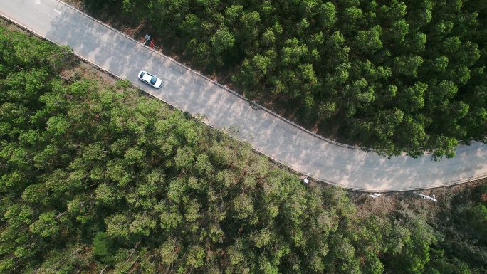 航拍汽车行驶森林里的公路