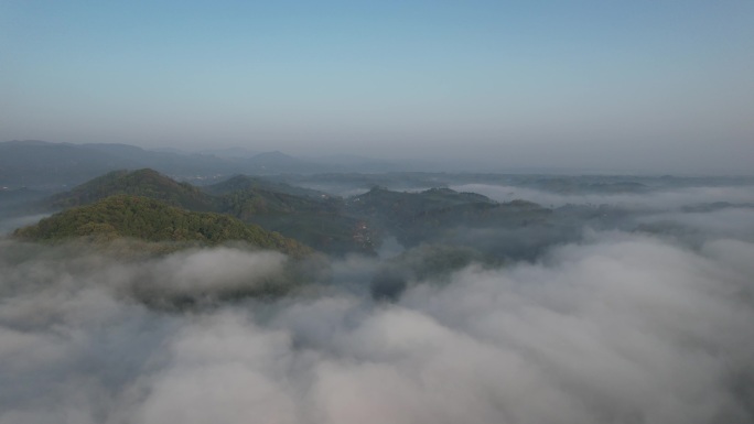 云雾里的茶山