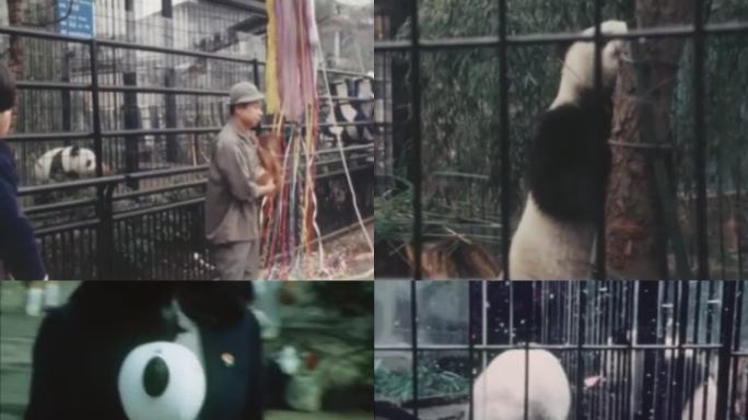 大熊猫在东京首次公开亮相 1972年