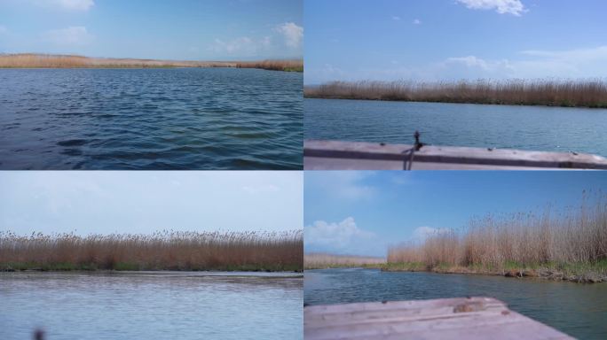 4K坐船芦苇 新疆湿地公园