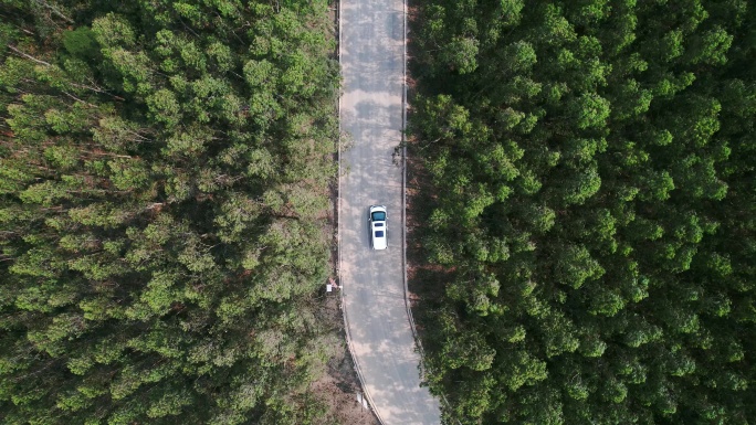 航拍汽车行驶森林里的公路