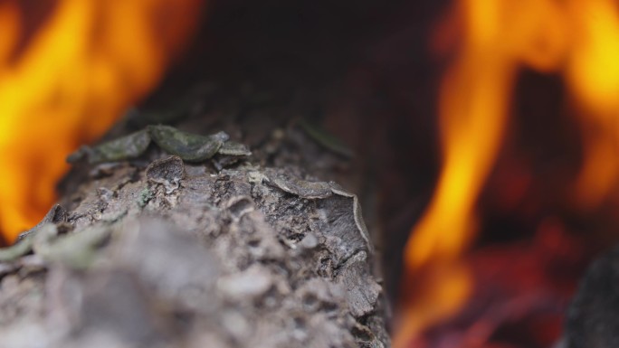 火-燃烧的木头和火苗