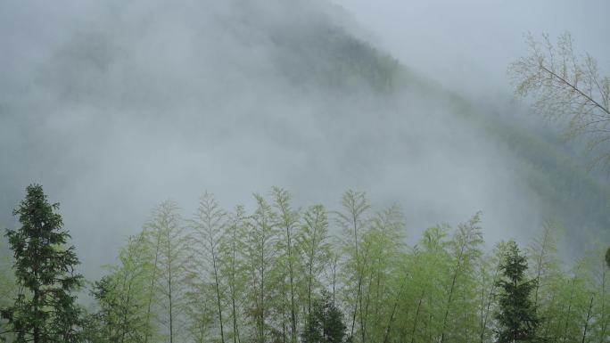 云雾缭绕的大山，天然氧吧