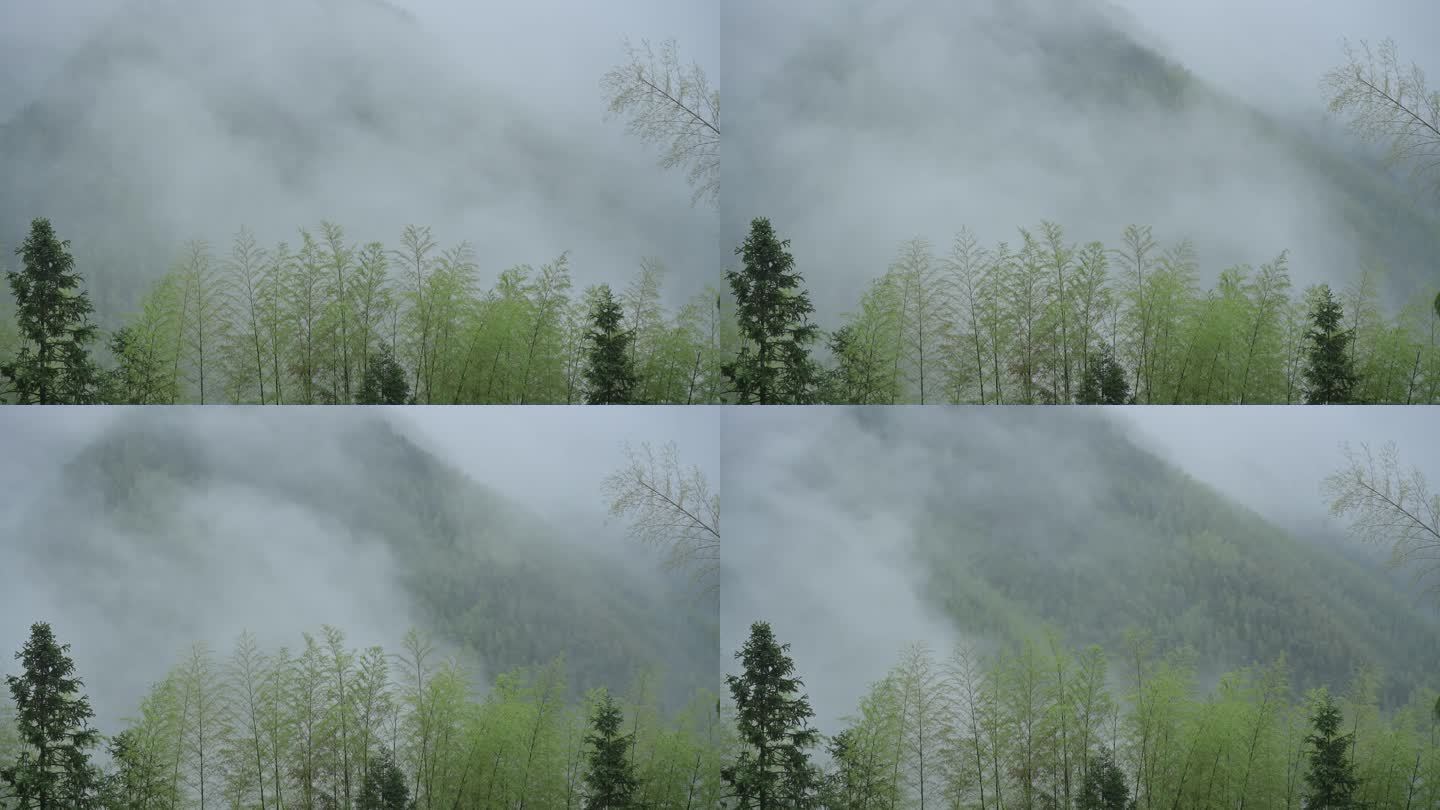 云雾缭绕的大山，天然氧吧