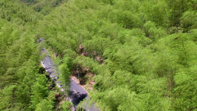 宜兴竹海风景区