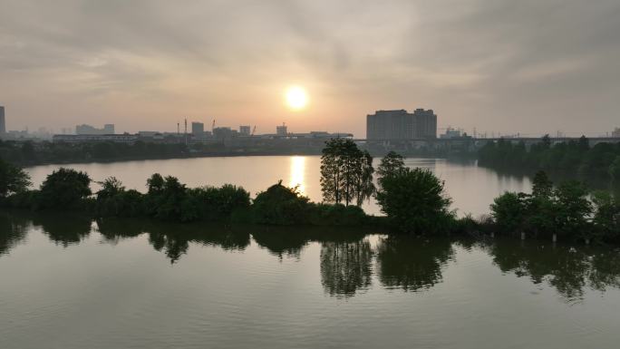 日出城市的湖面上一条小路一排树航拍