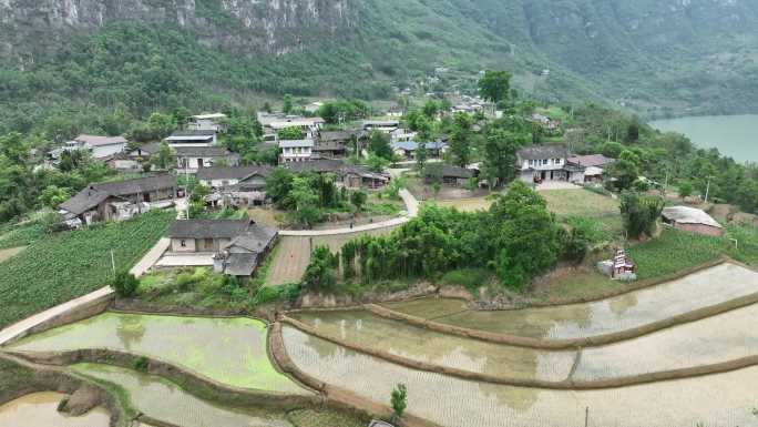 航拍四川的小山村的稻田