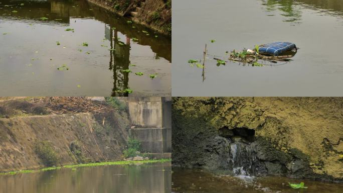 乡间排灌渠道河水污染