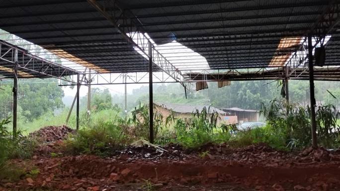 漏水雨丝视频素材自然灾害台风来袭推毁大棚