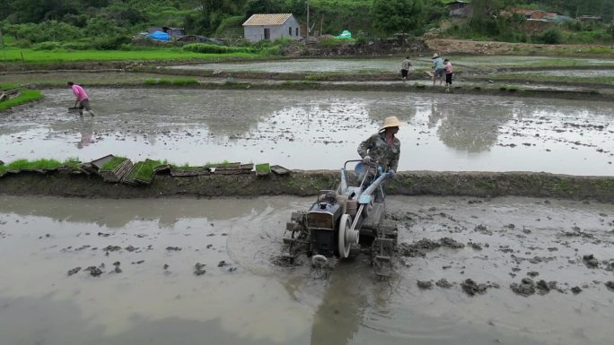 春雨春分谷雨耕种农民田间劳作