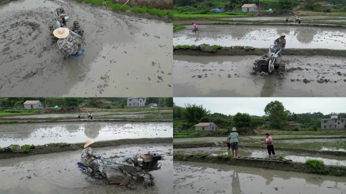 春雨春分谷雨耕种农民田间劳作