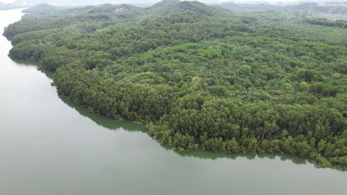 深圳宝安铁岗水库