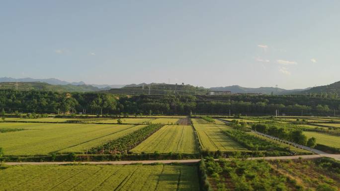 车窗外的风景