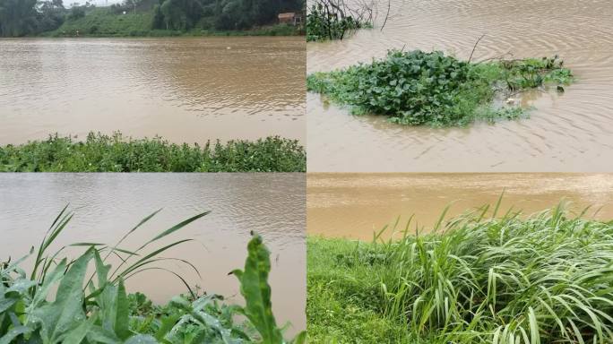 小河水水灾堰塞湖河面洪水上涨水位上涨上升