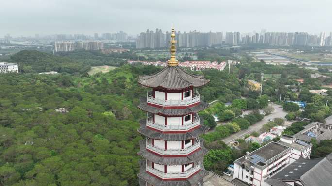 航拍北海普度寺