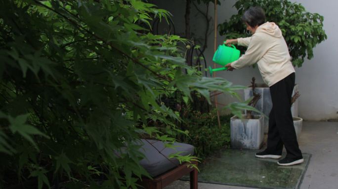 老人在给院子植物浇水