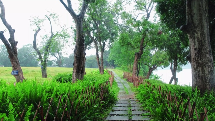 雨中江边小步道