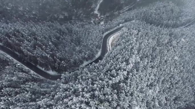 雪山上的公路以及行人