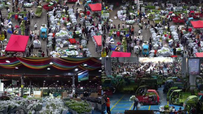 昆明斗南花卉交易市场