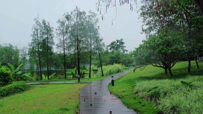 江边雨中景色