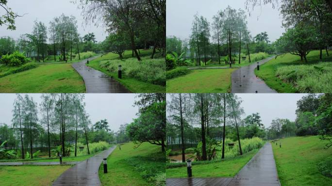 江边雨中景色