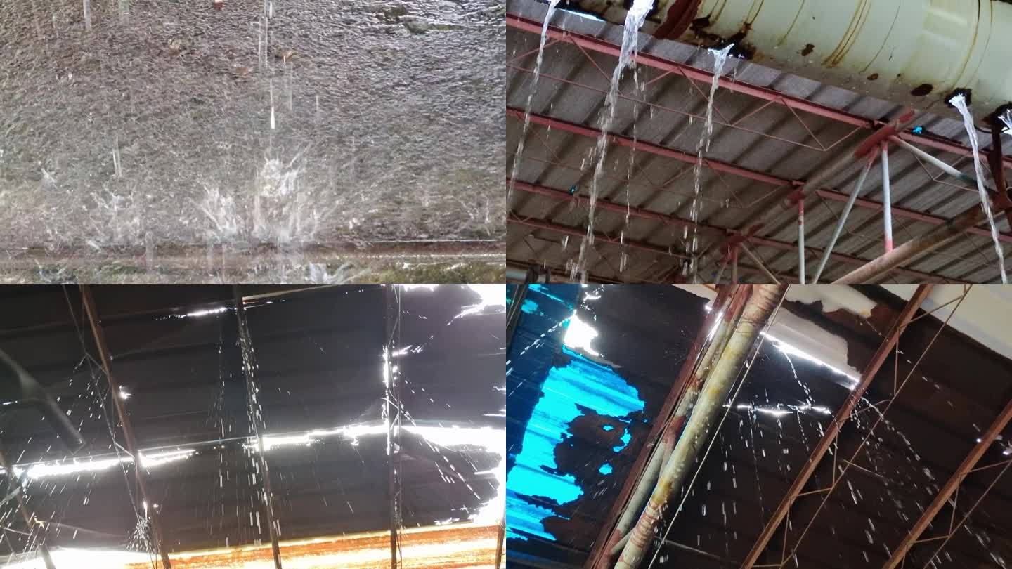 漏水雨丝视频素材台风来袭 台风推毁大棚