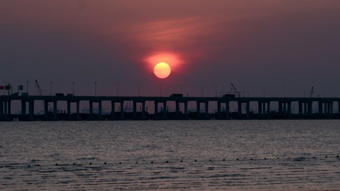 深圳湾大桥日落，汽车穿日，海鸥飞过