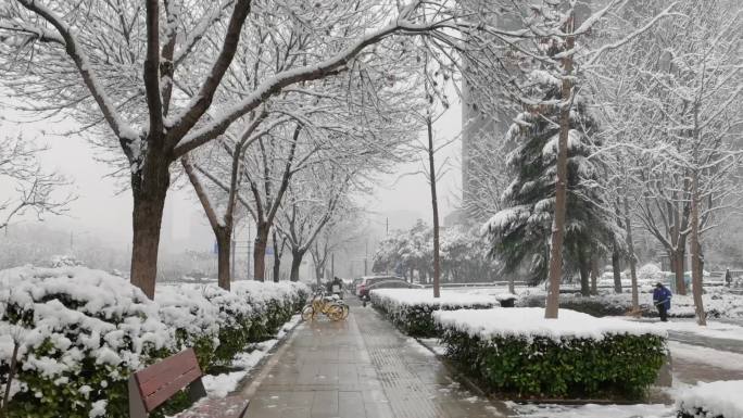 城市街道雪中漫步