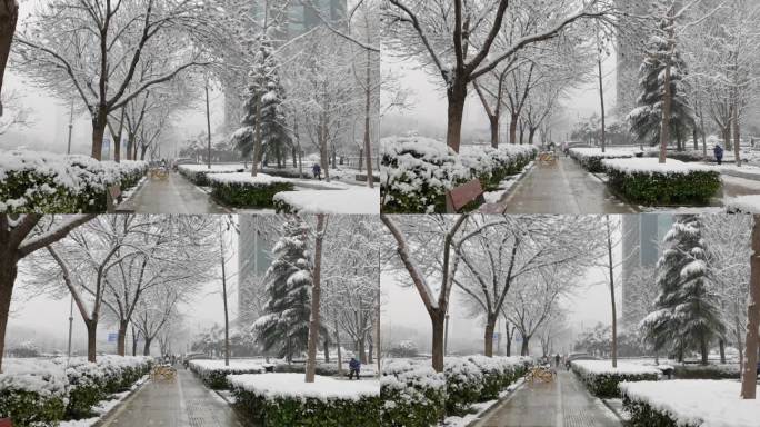 城市街道雪中漫步