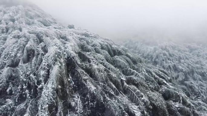雪、雾凇下的南方山脉
