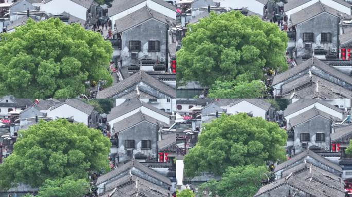 同里古镇 水乡 航拍 夏天 船 晴天