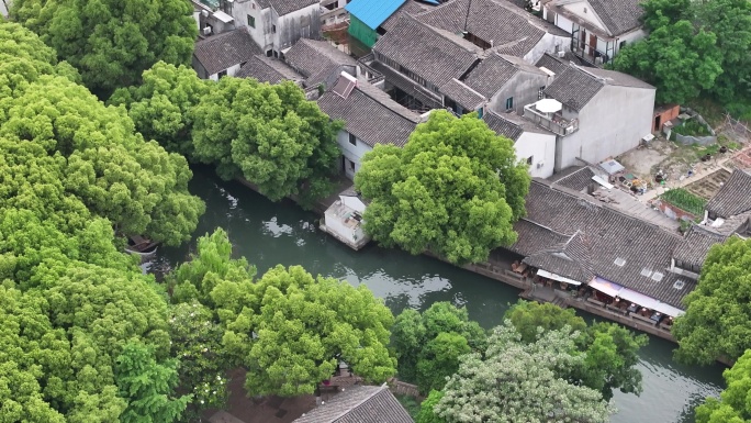 同里古镇 水乡 航拍 夏天 船 晴天