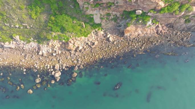 辽宁大连滨海路春季海滨风光