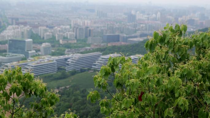 杭州山顶俯视城市
