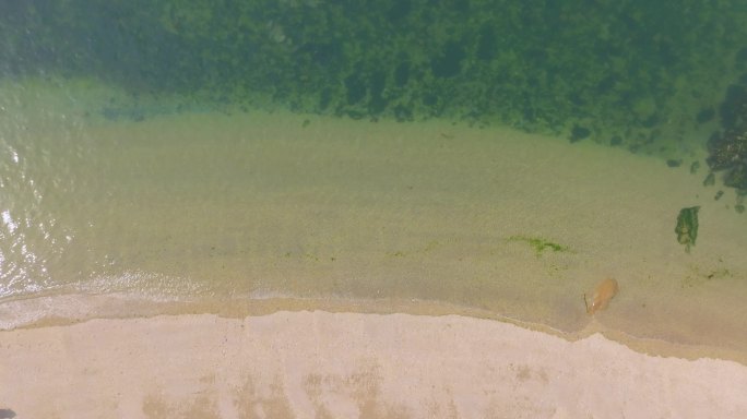 辽宁大连滨海路春季海滨风光