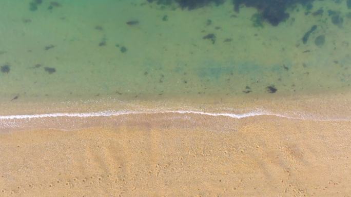 辽宁大连滨海路春季海滨风光