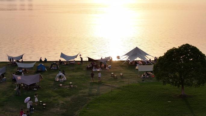 工业园区 落日 一棵树 夕阳 露营 航拍