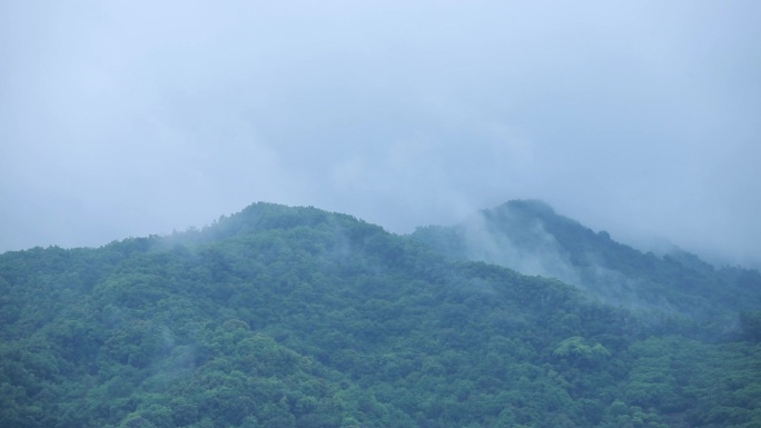 深圳阳台山烟雨山林延时