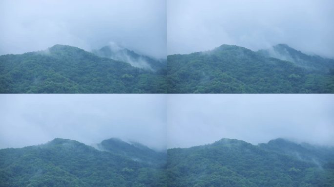 深圳阳台山烟雨山林延时