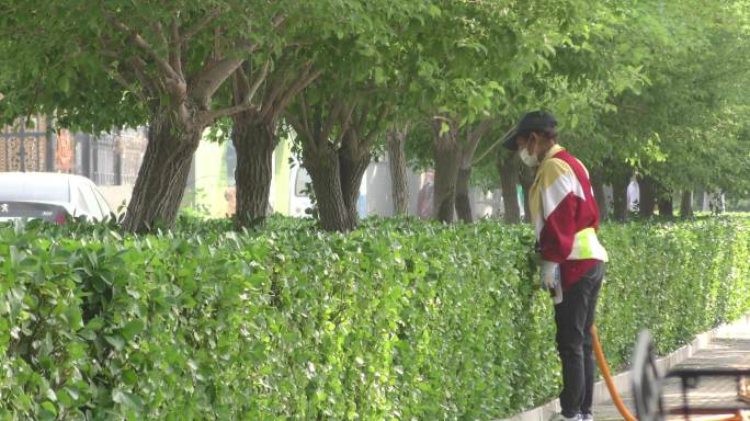 绿化养护绿植种植绿色城市树木浇水洒水植绿