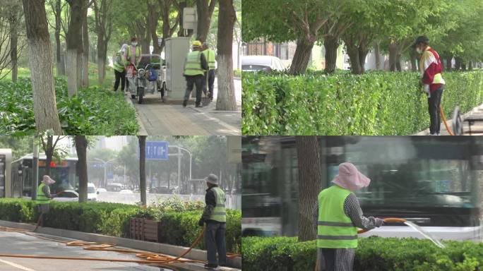 绿化养护绿植种植绿色城市树木浇水洒水植绿
