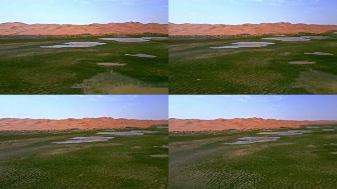 沙漠湖泊湿地沙漠生态水资源