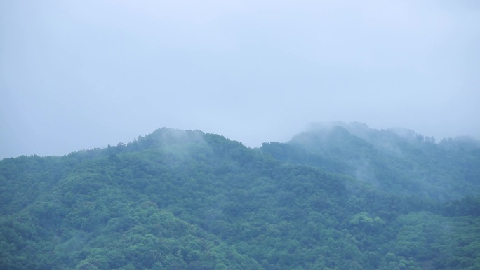 深圳阳台山烟雨山林延时