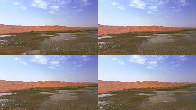 沙漠绿洲沙漠湖泊湿地