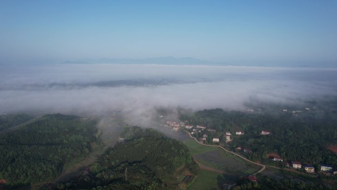 大山森林云雾