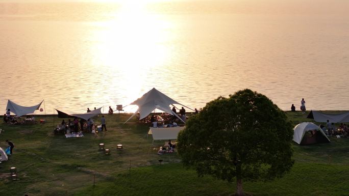 工业园区 落日 一棵树 夕阳 露营 航拍