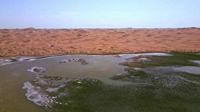 沙漠生态沙漠湖泊湿地