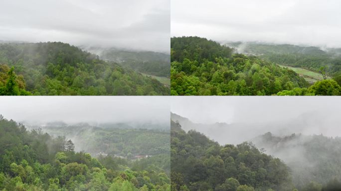 雨中的景色